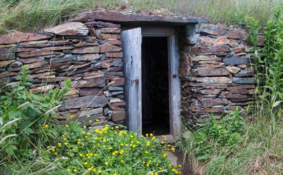 1+ images about Root Cellar