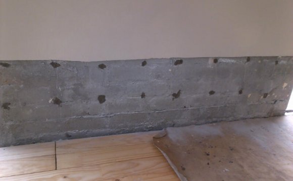 Damp Proofing/Rising