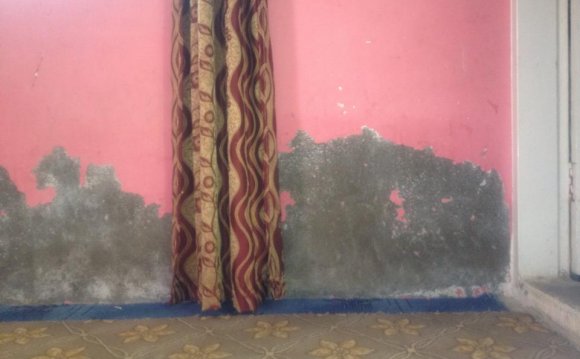 Walls Seepage Repair