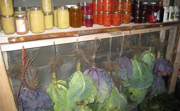 Image result for root cellar