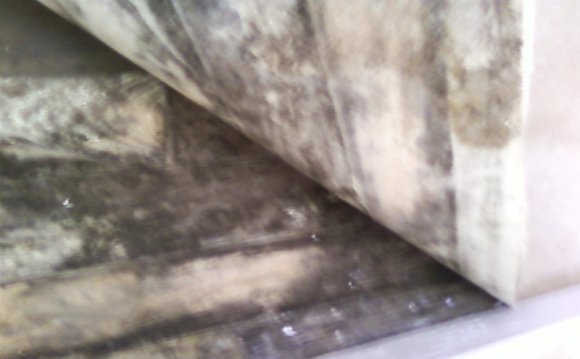Rising Damp: How to Recognise