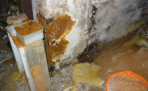 Beam end affected by wet rot