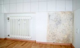 a damp wall with tiling and mould