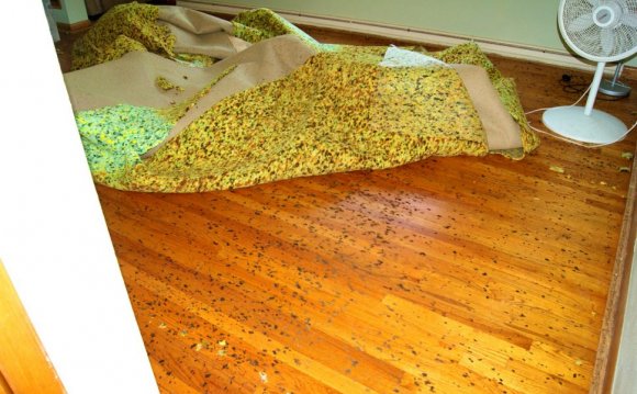 Carpet on hardwood floors
