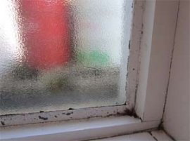 Condensation causes black mould or mildew around window frames and recesses