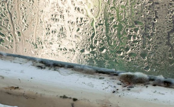 Condensation in house