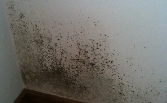 Can condensation cause mould?