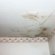 Repair plaster ceiling water damage