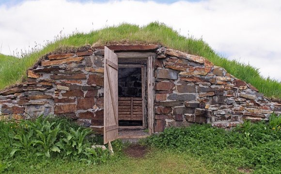 Creating a root cellar