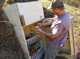 Keeping a root cellar from freezing with a light bulb
