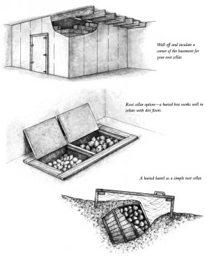 Perfect Spot for a Root Cellar – Your Basement