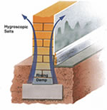 The Cause of Rising Damp