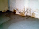Damp spots on basement floor