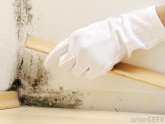 Get rid of damp smell in house