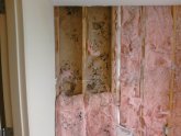 Getting rid of black mould on walls