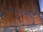 Holes in hardwood floors