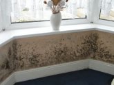 Mould from condensation