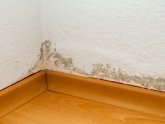 Rising damp Specialists