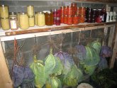 Root cellar Meaning