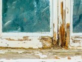 What is dry rot in timber?