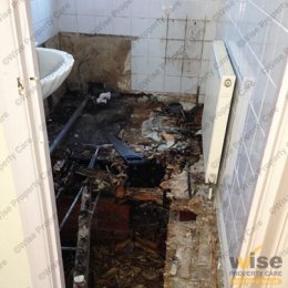 Wet rot affects bathroom floor