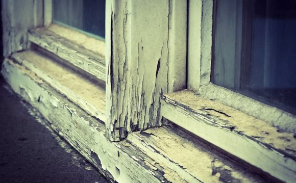 Difference between wet and dry rot